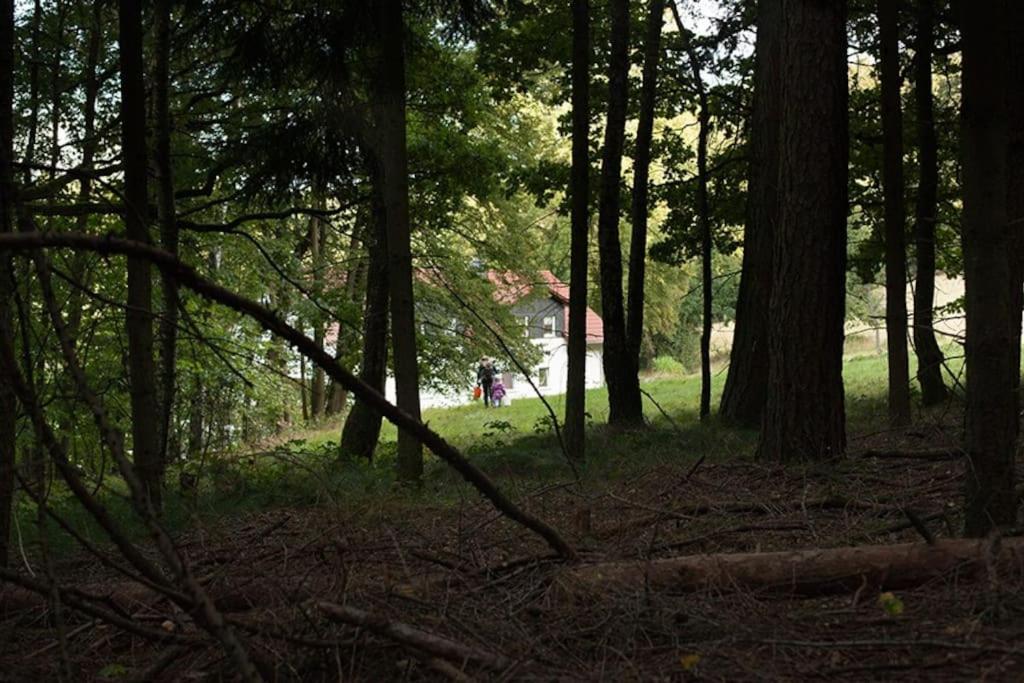 Wald-Apartment Limabach - Oberfrohna Exteriér fotografie