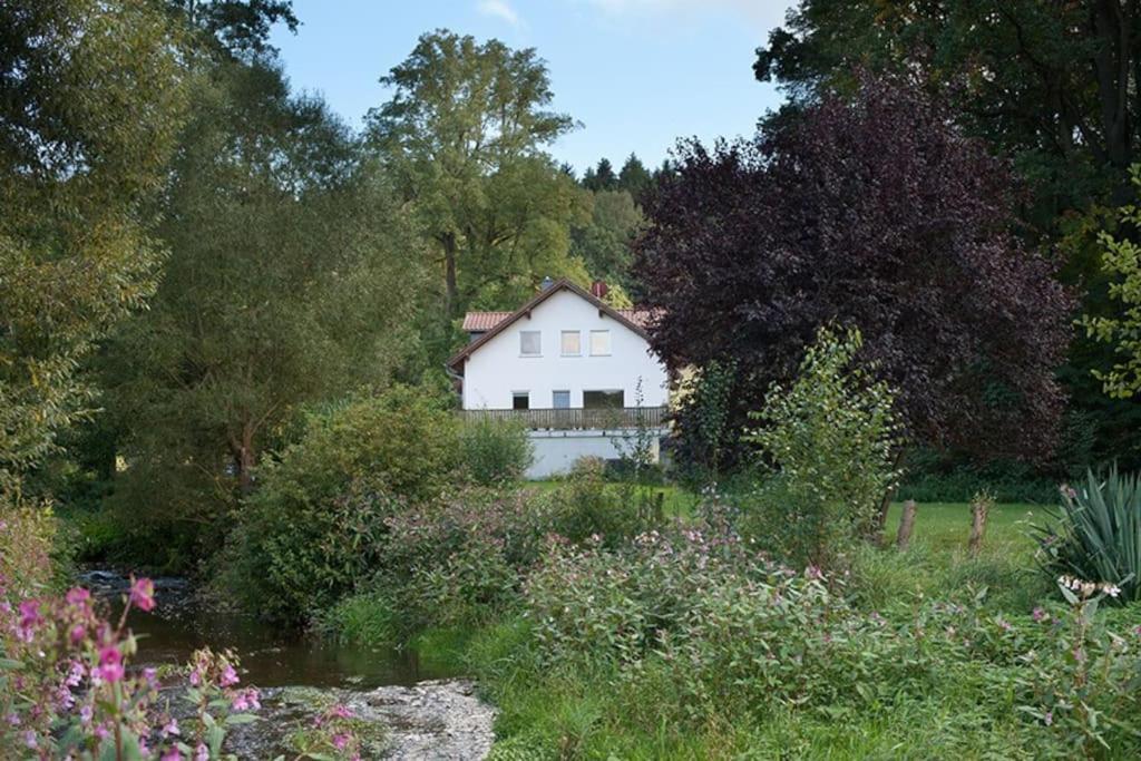 Wald-Apartment Limabach - Oberfrohna Exteriér fotografie
