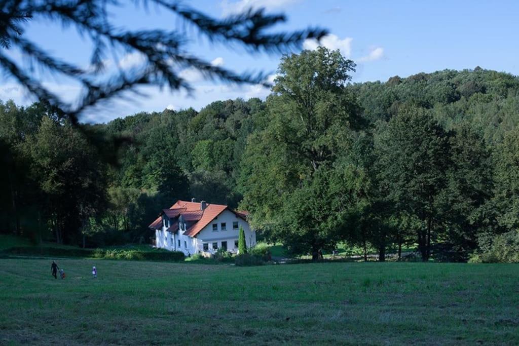 Wald-Apartment Limabach - Oberfrohna Exteriér fotografie