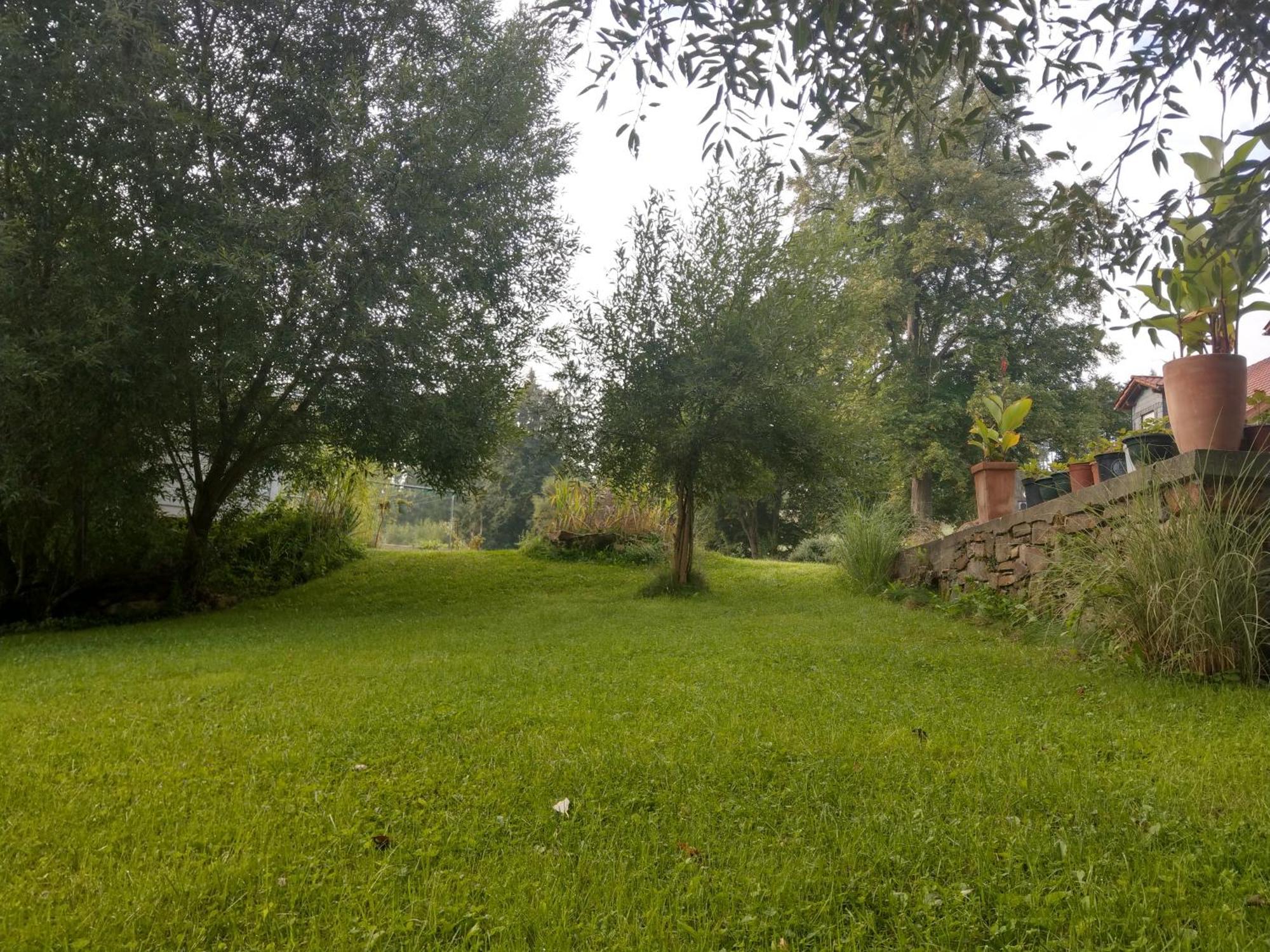 Wald-Apartment Limabach - Oberfrohna Exteriér fotografie